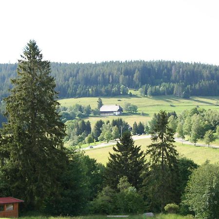 Bergsee Schluchsee Exterior photo