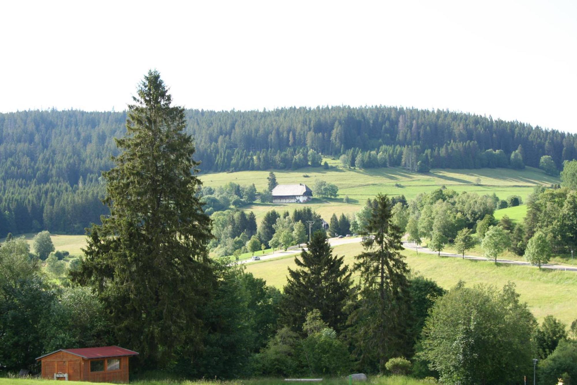 Bergsee Schluchsee Exterior photo